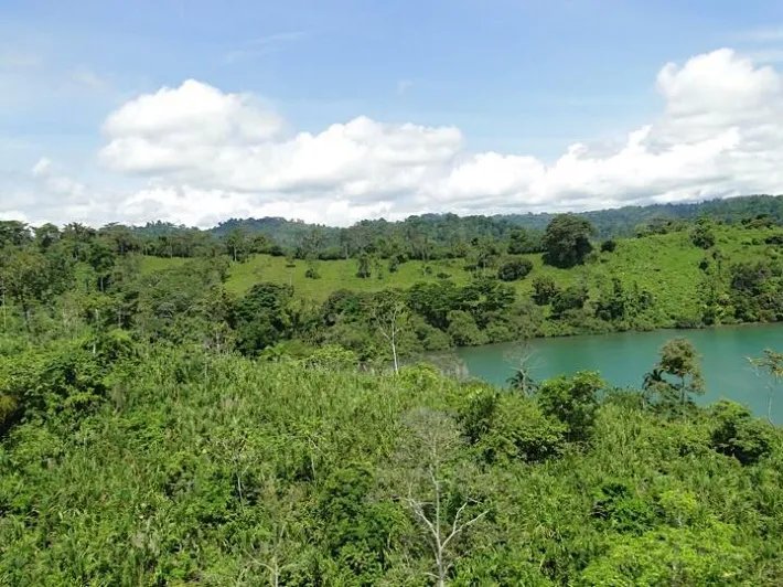 600 hectares of land around bay south of Almirante  - great development potential!