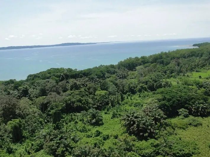 600 hectares of land around bay south of Almirante  - great development potential!