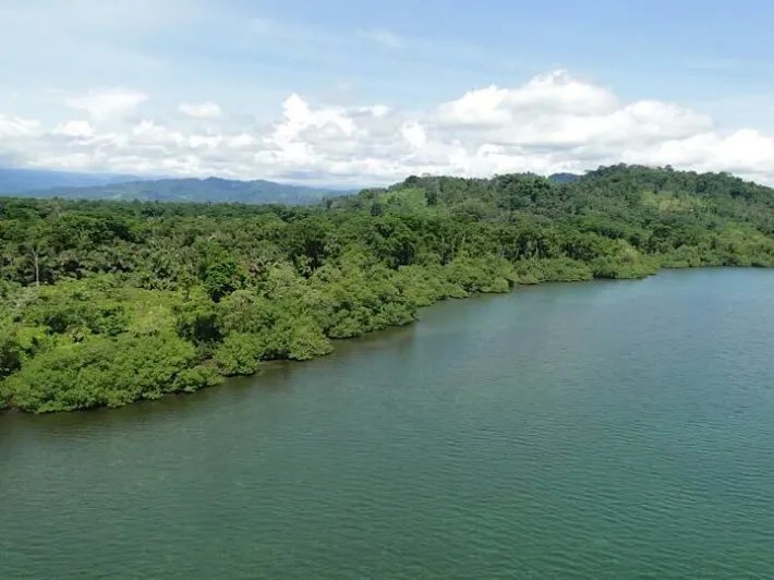 600 hectares of land around bay south of Almirante  - great development potential!