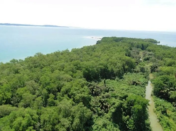 600 hectares of land around bay south of Almirante  - great development potential!
