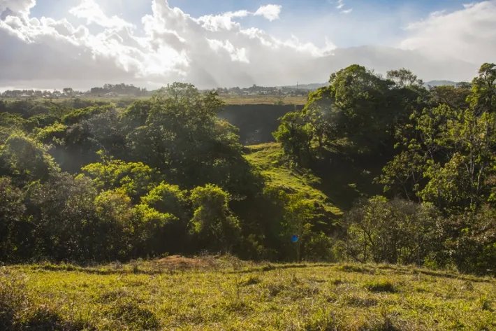 Beautiful flat farm on river just outside Boquete