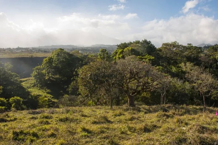 Beautiful flat farm on river just outside Boquete