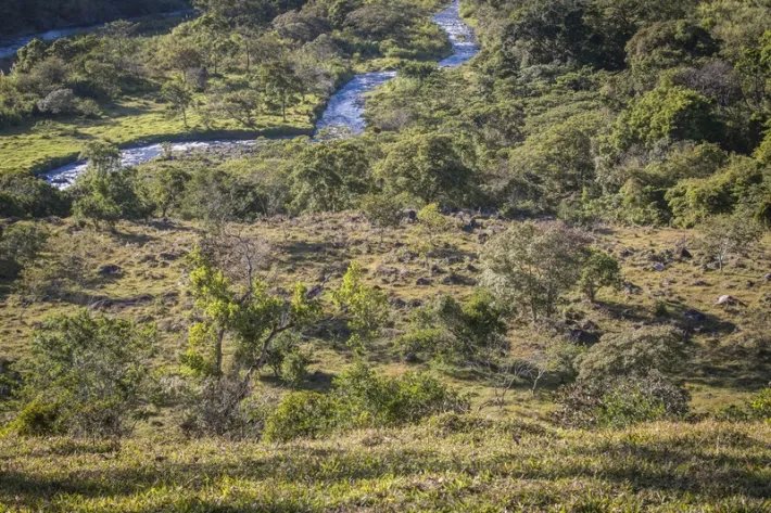 Beautiful flat farm on river just outside Boquete