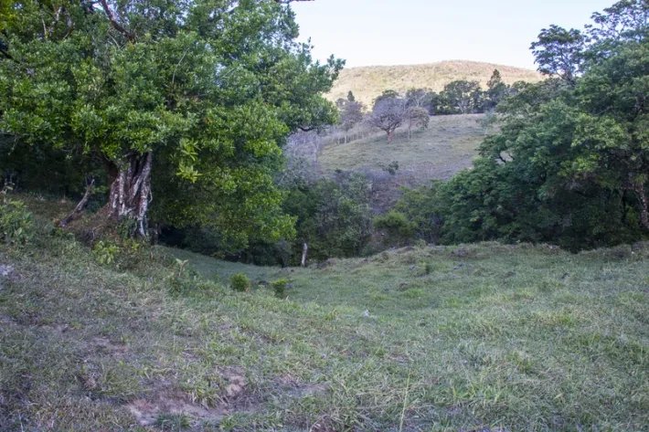 Beautiful flat farm on river just outside Boquete