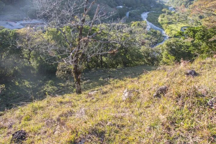 Beautiful flat farm on river just outside Boquete