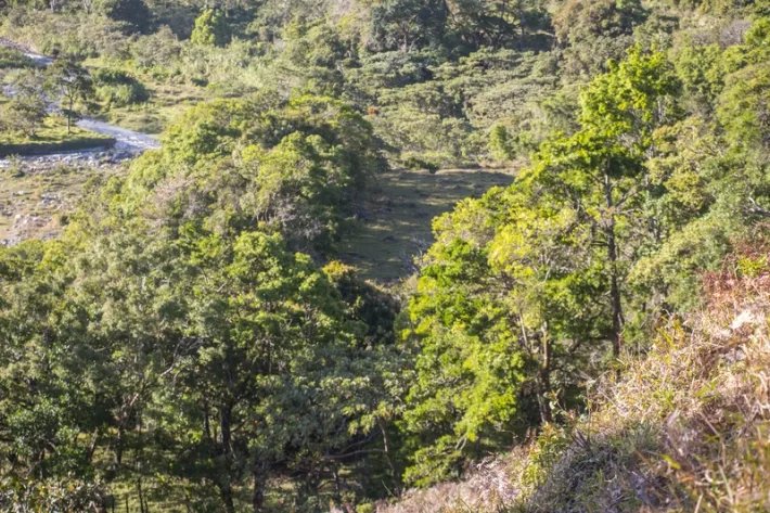 Beautiful flat farm on river just outside Boquete