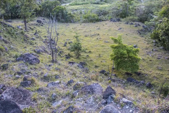 Beautiful flat farm on river just outside Boquete