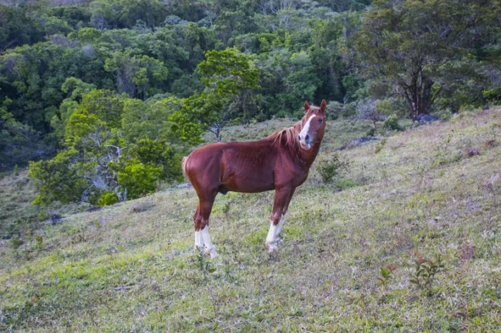Precioso piso de la granja en el r