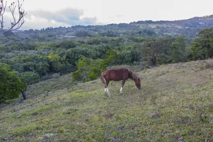 Precioso piso de la granja en el r