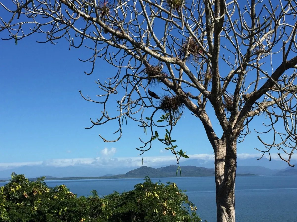 Wonderful views of the sea, the island and the mountain
