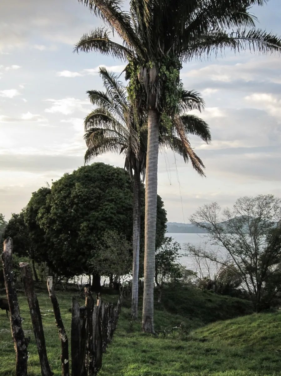 Maravillosas vistas al mar, la isla y la monta