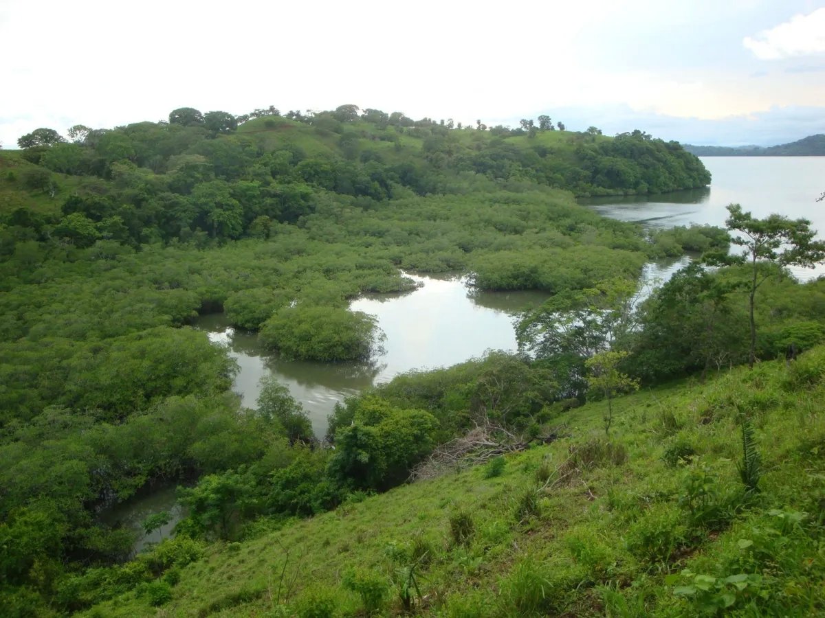 Maravillosas vistas al mar, la isla y la monta