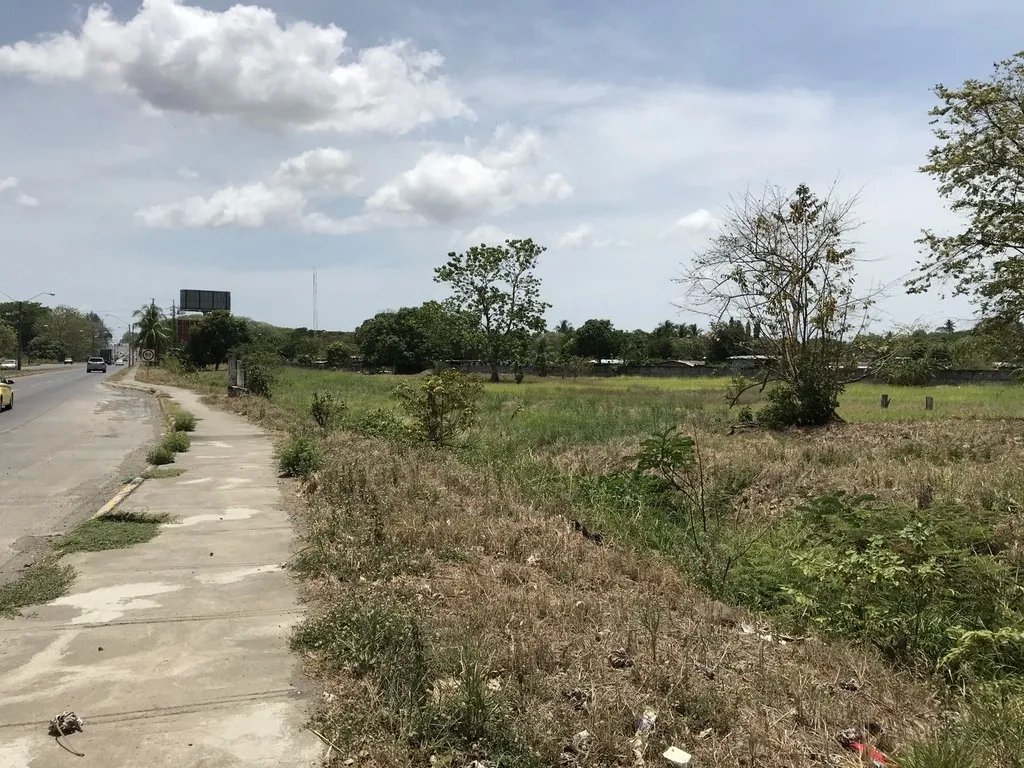 4.3 hectares on Interamerican Highway, opposite Plaza Terronal in David