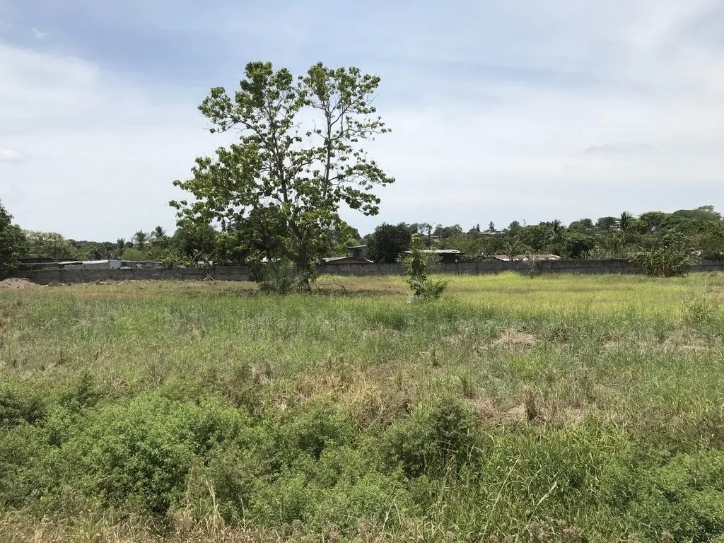4.3 hectares on Interamerican Highway, opposite Plaza Terronal in David