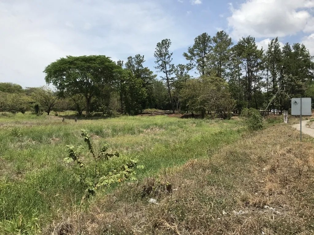 4.3 hectares on Interamerican Highway, opposite Plaza Terronal in David