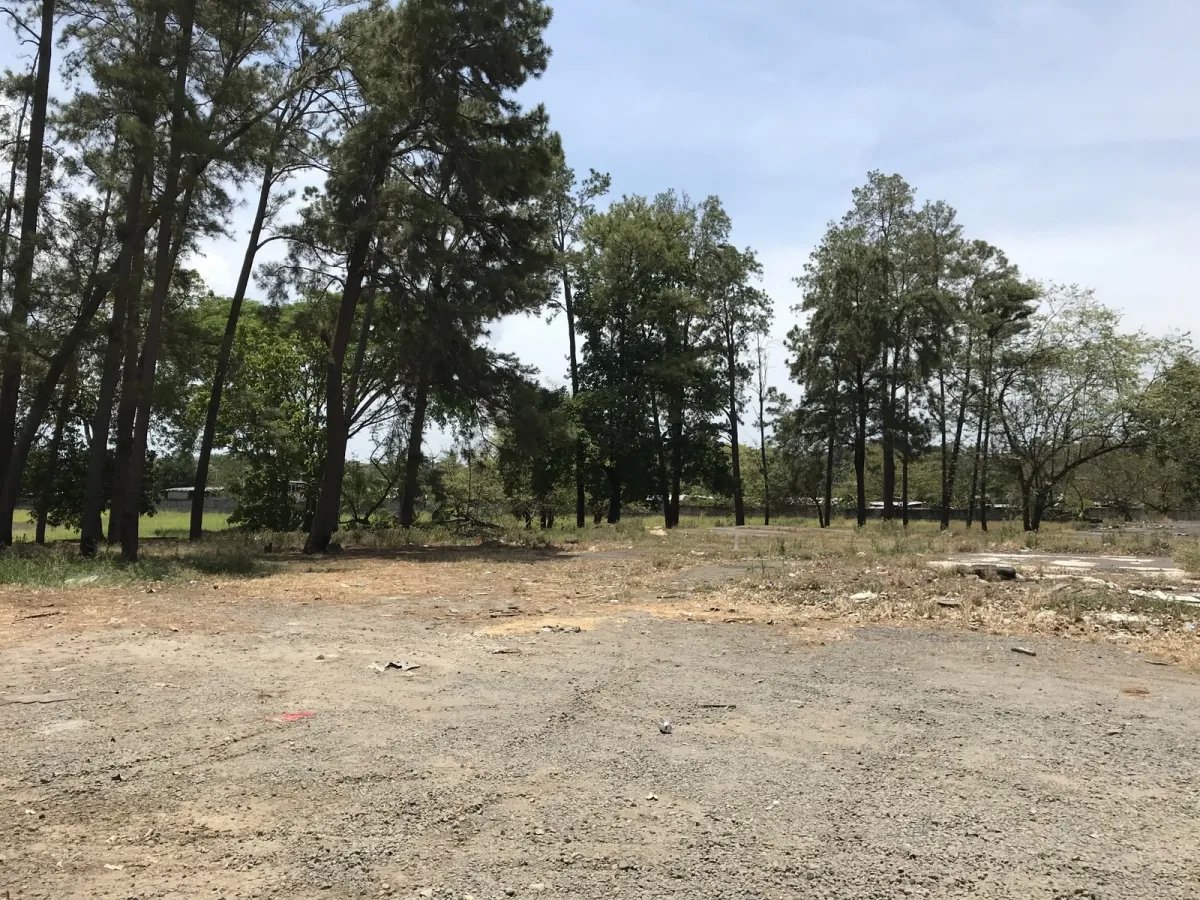 4.3 hectares on Interamerican Highway, opposite Plaza Terronal in David