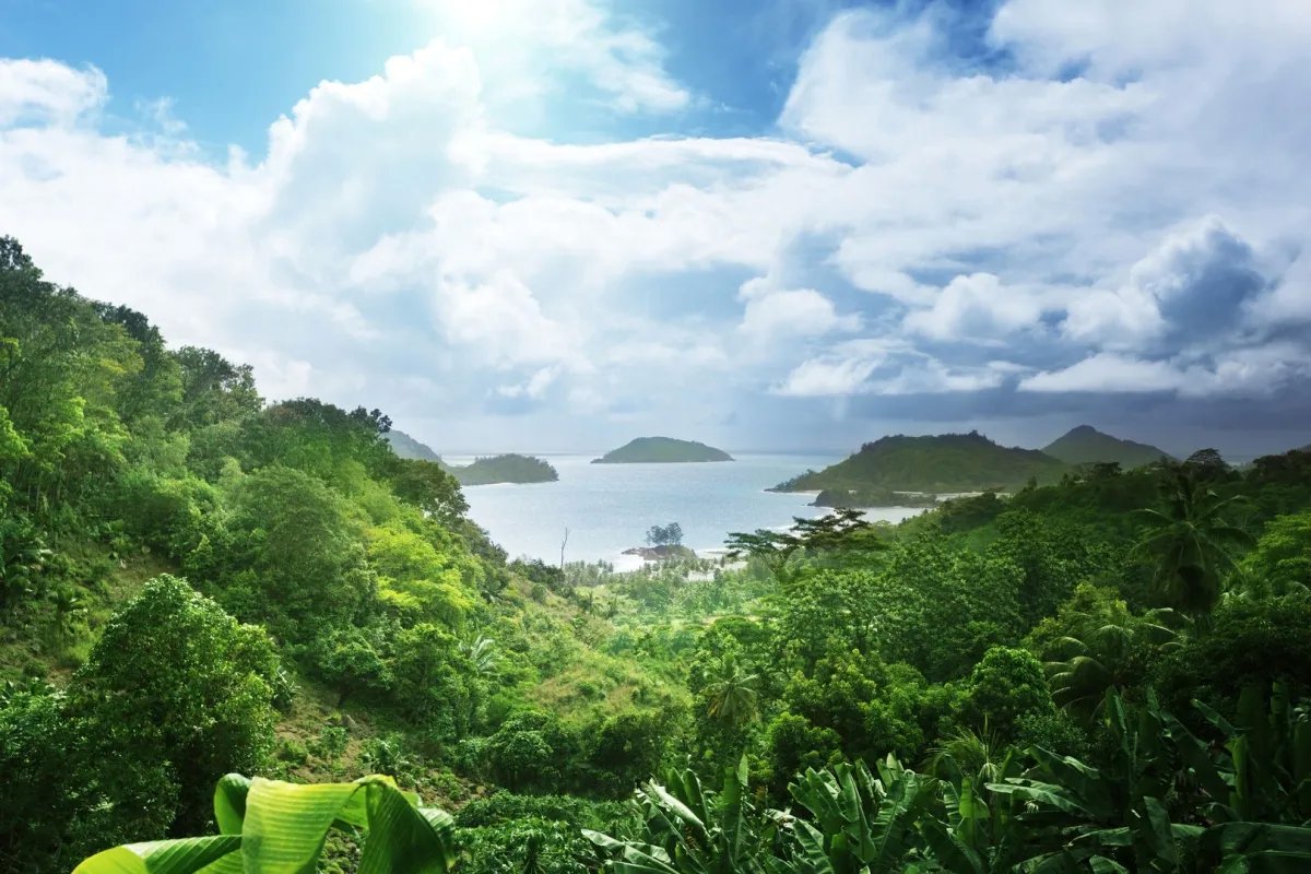 Terreno/Granja en Venta en Islas de las Perlas