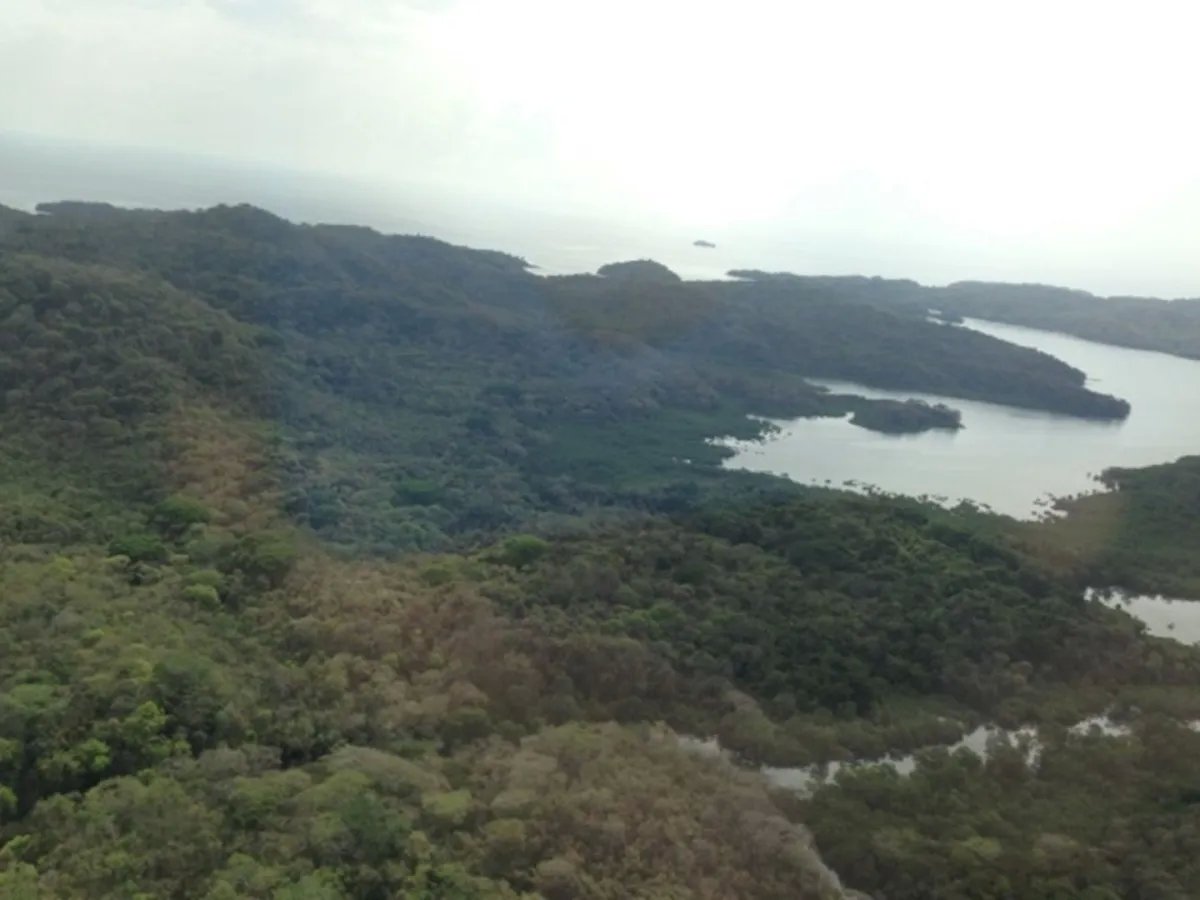 Terreno/Granja en Venta en Islas de las Perlas
