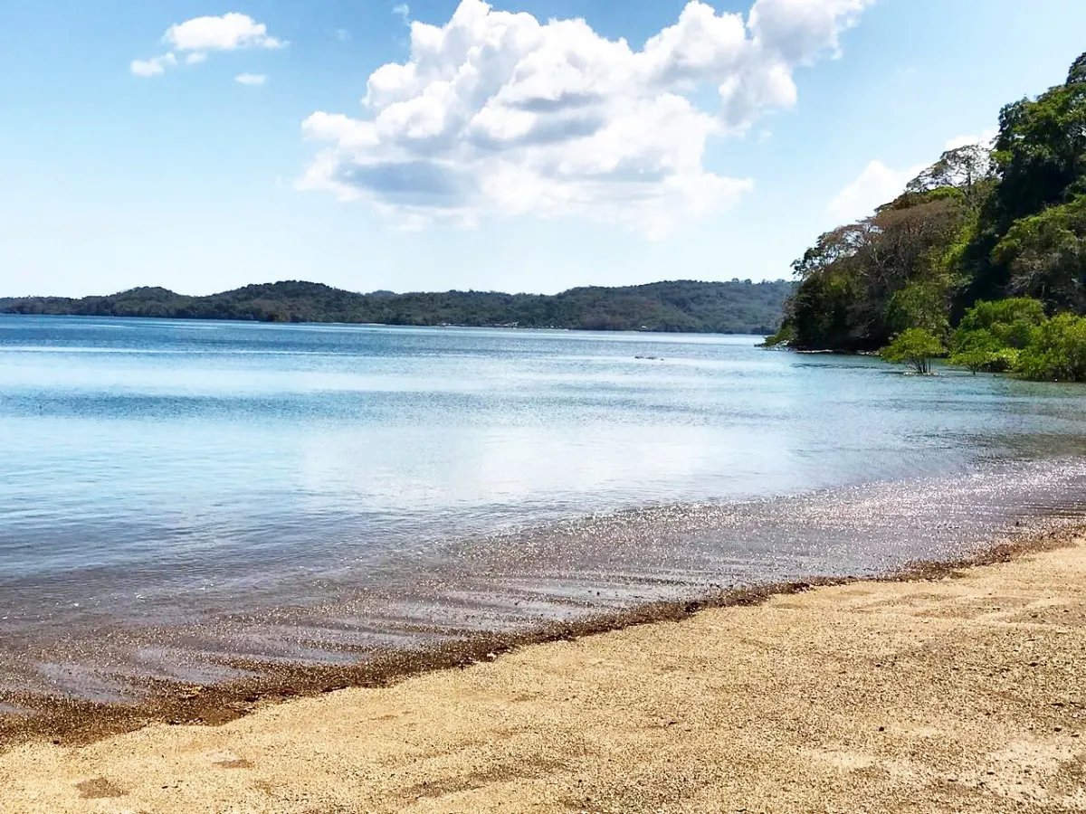Terreno/Granja en Venta en Islas de las Perlas