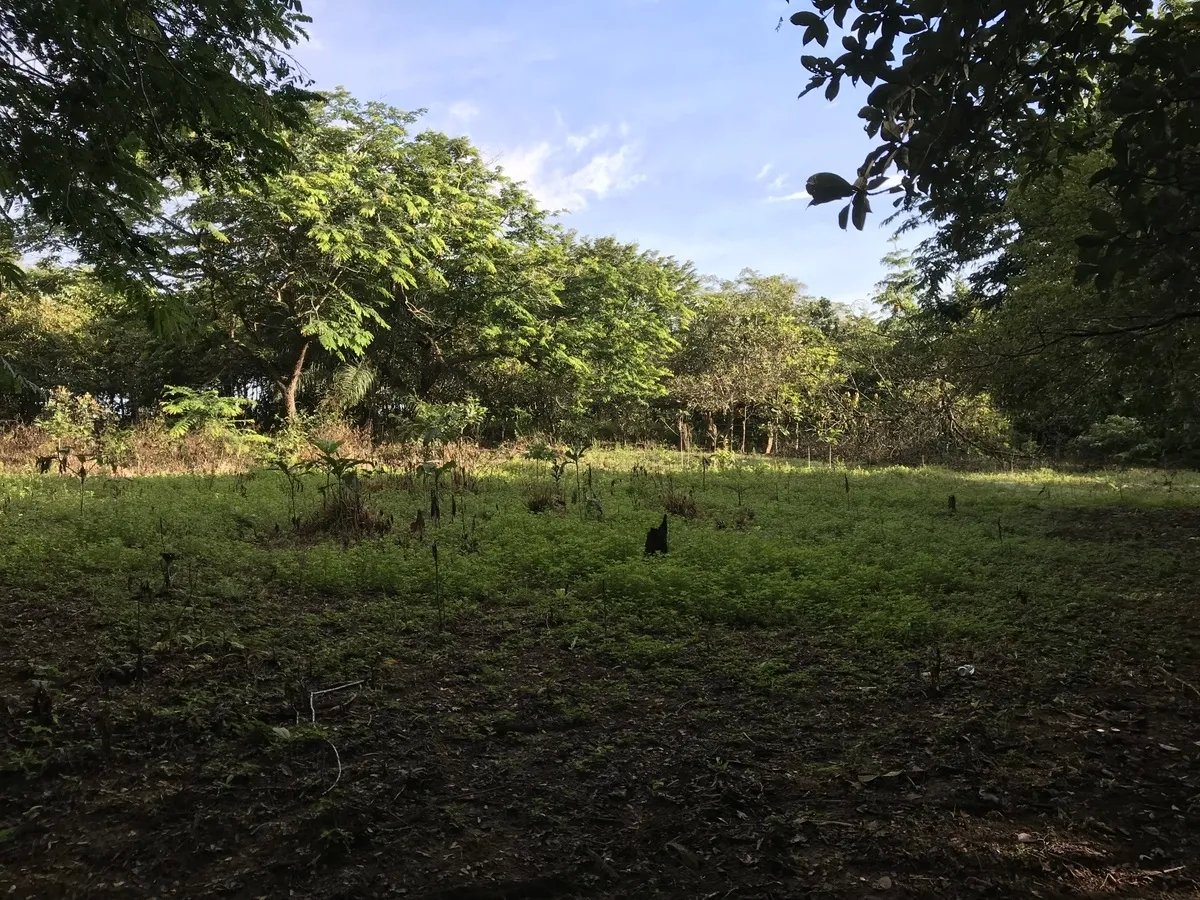 2-hectare lot in San Félix, Chiriqui