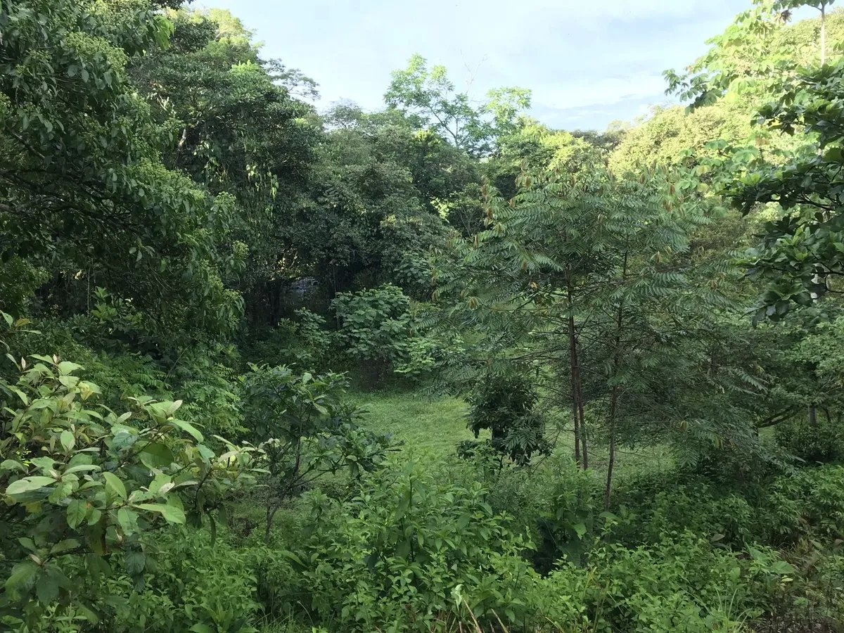 2-hectare lot in San Félix, Chiriqui