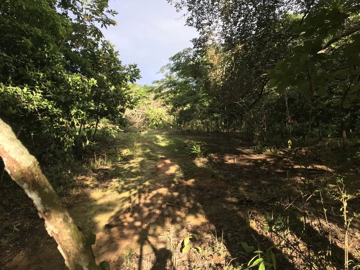 2-hectare lot in San Félix, Chiriqui