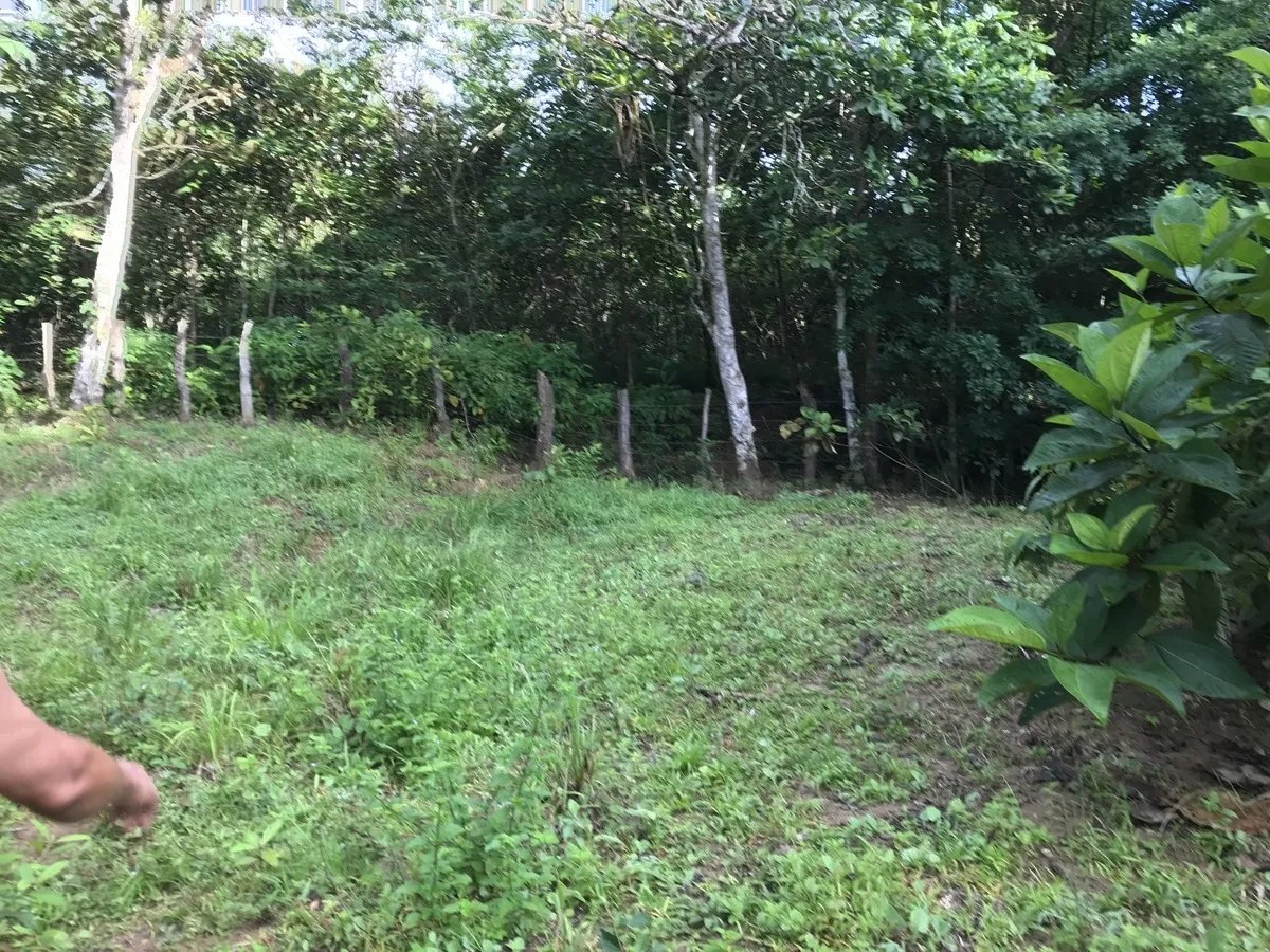 2-hectare lot in San Félix, Chiriqui