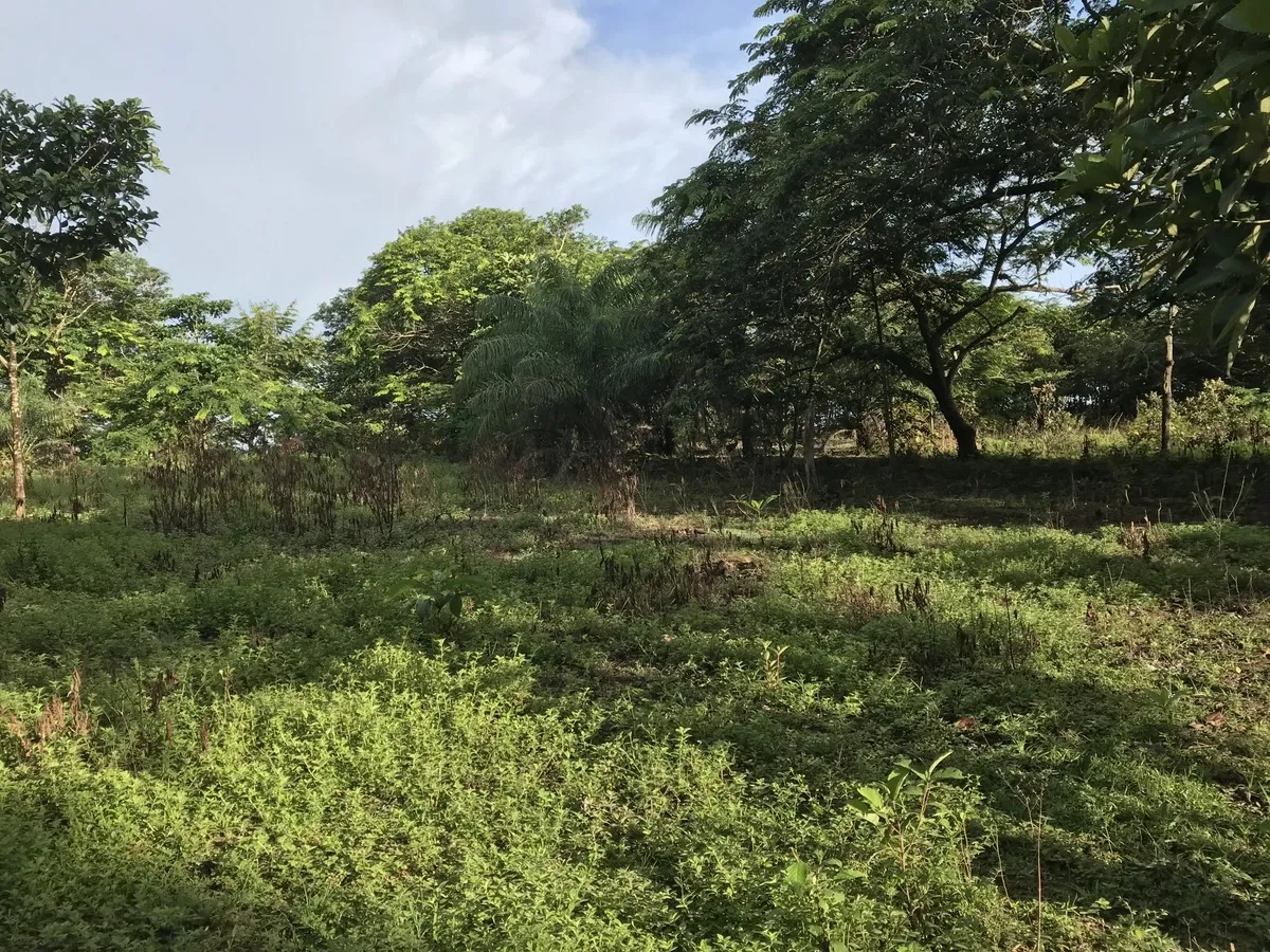 2 hectares en San Félix, Chiriqui