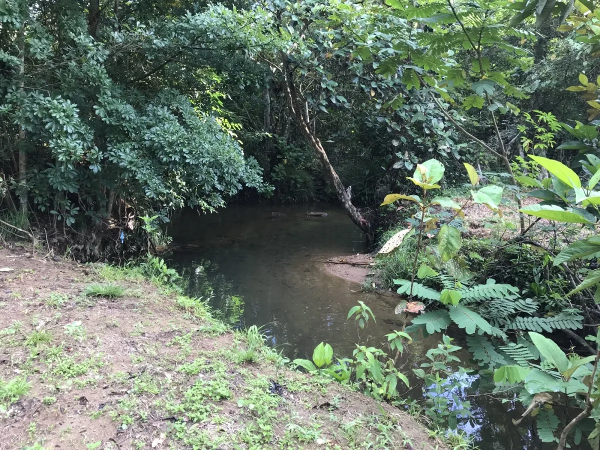 2 hectares en San Félix, Chiriqui