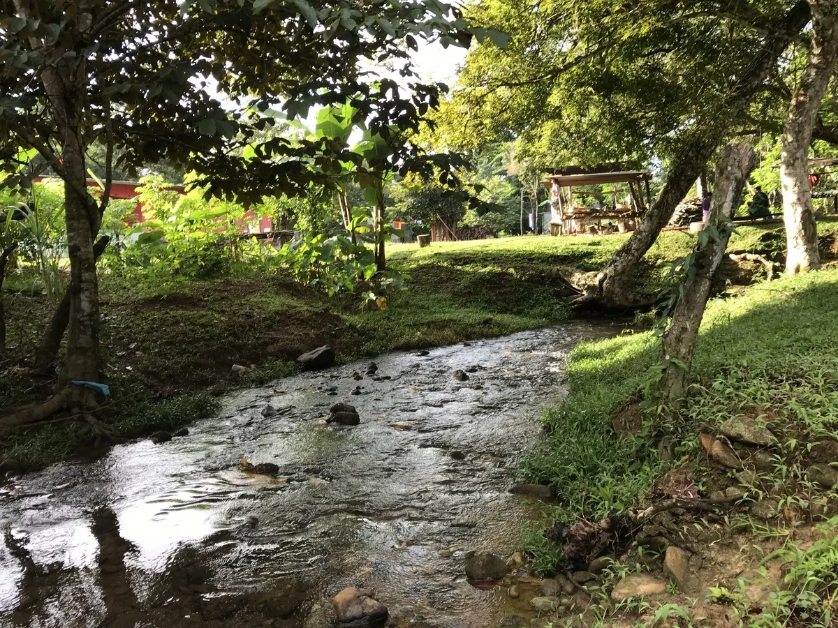 2 hectares en San Félix, Chiriqui