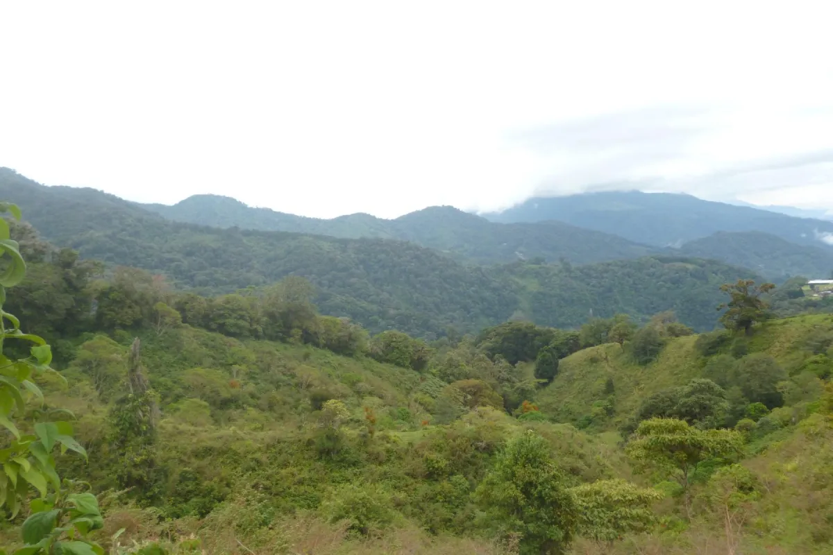 CHIRIQUI, BOQUETE, PROPIEDAD CERCA DEL PARQUE NACIONAL VOLCAN BARU