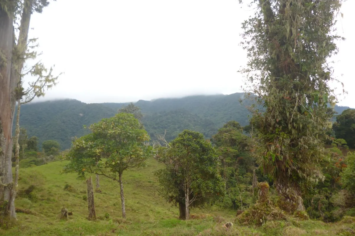 CHIRIQUI, BOQUETE, PROPIEDAD CERCA DEL PARQUE NACIONAL VOLCAN BARU