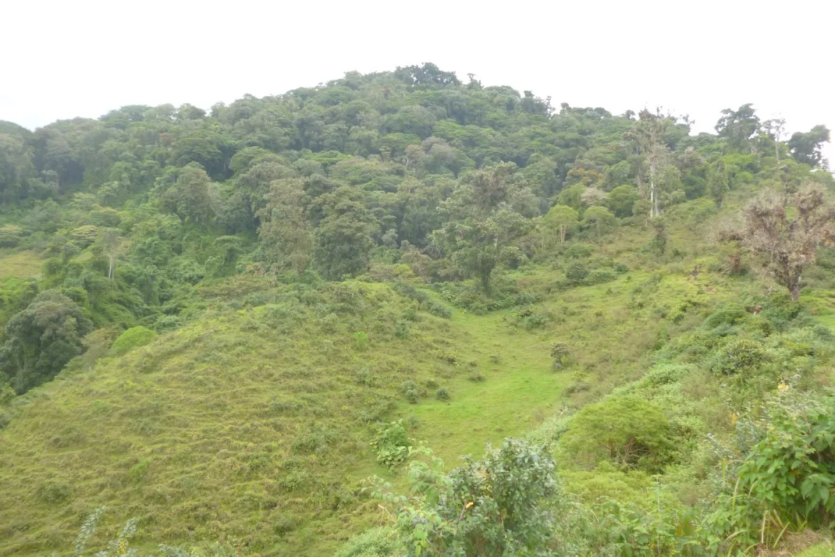 CHIRIQUI, BOQUETE, PROPIEDAD CERCA DEL PARQUE NACIONAL VOLCAN BARU