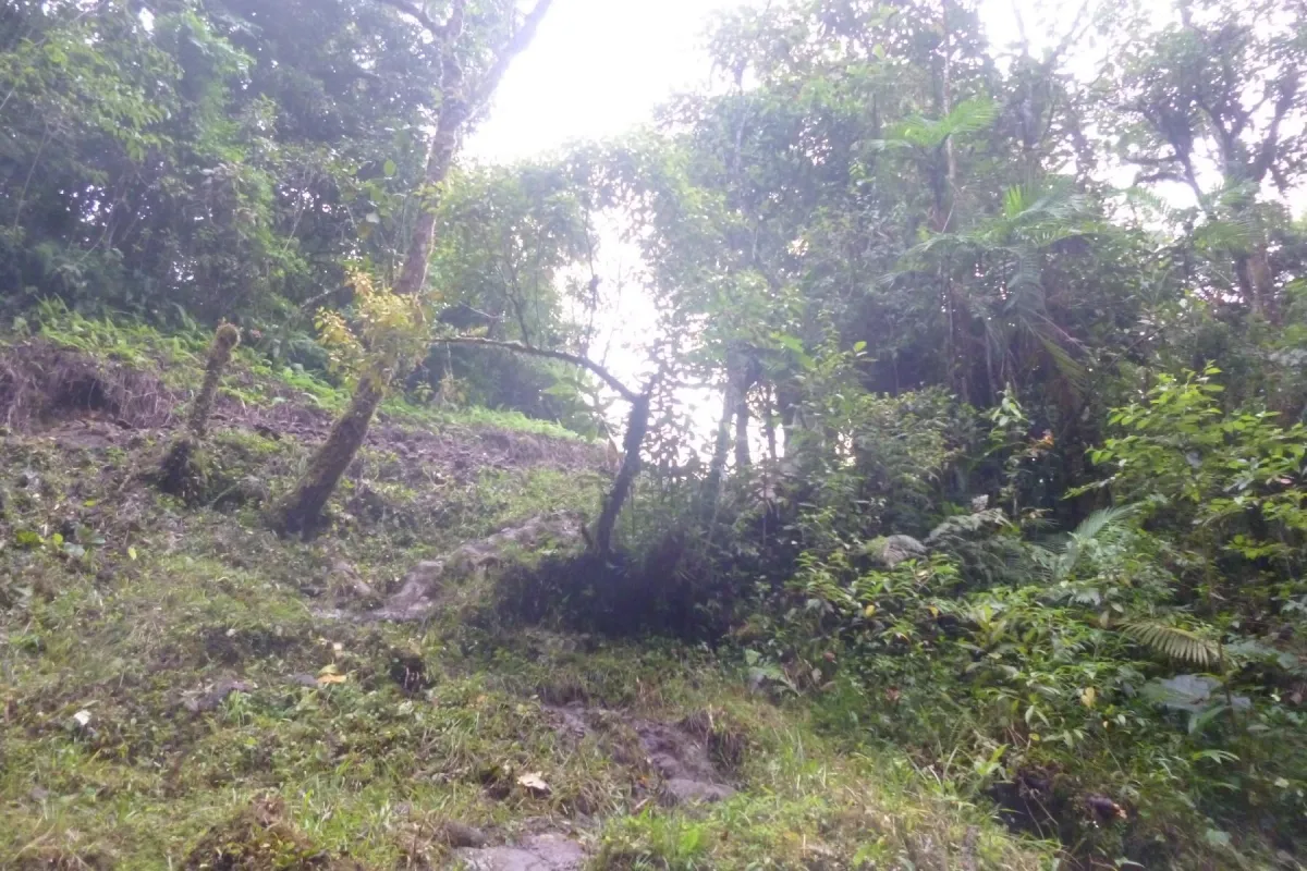 CHIRIQUI, BOQUETE, PROPIEDAD CERCA DEL PARQUE NACIONAL VOLCAN BARU