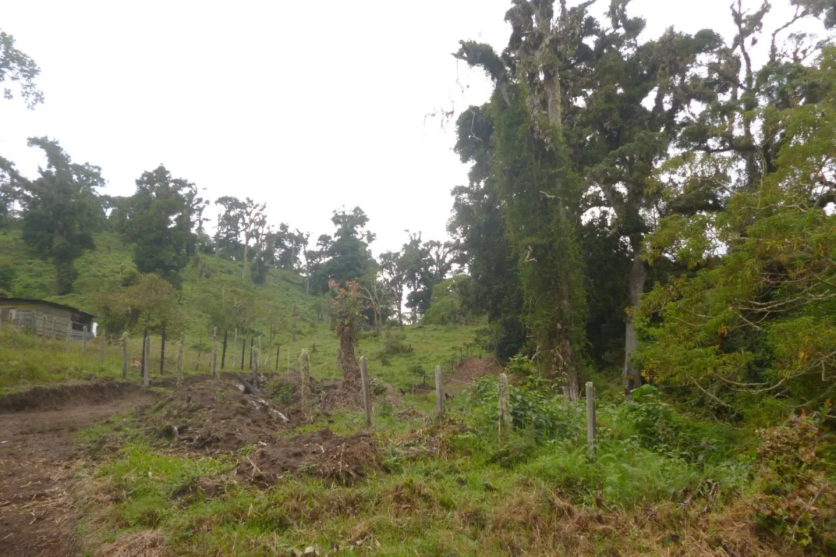CHIRIQUI, BOQUETE, PROPIEDAD CERCA DEL PARQUE NACIONAL VOLCAN BARU