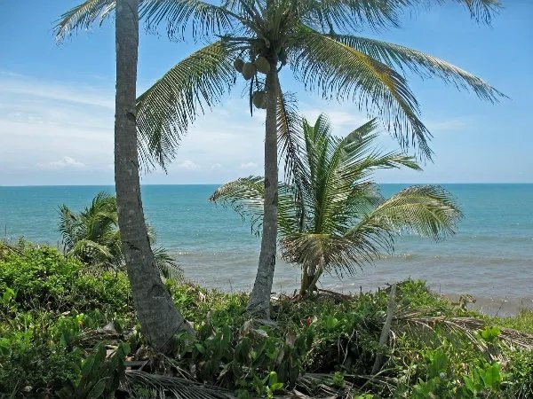 Beautiful Caribbean beach property with various coves
