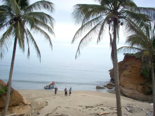 Beautiful Caribbean beach property with various coves