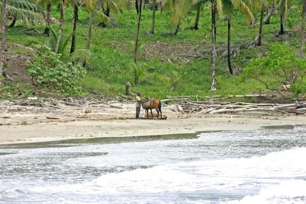 Caribbean beach front, private cove, Cocle del Norte, Colon