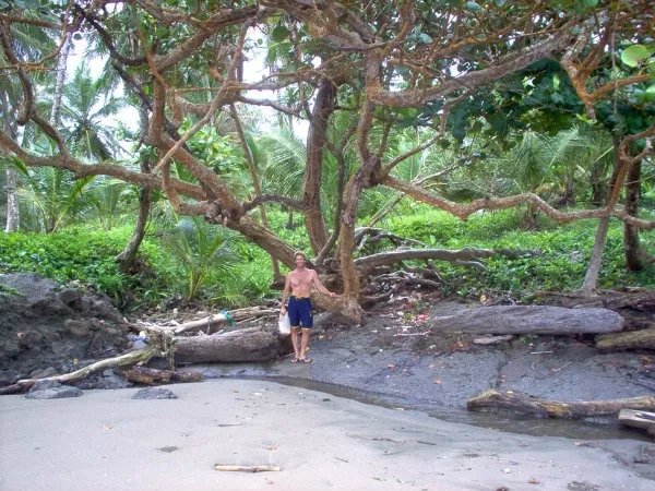 Caribbean beach front, private cove, Cocle del Norte, Colon
