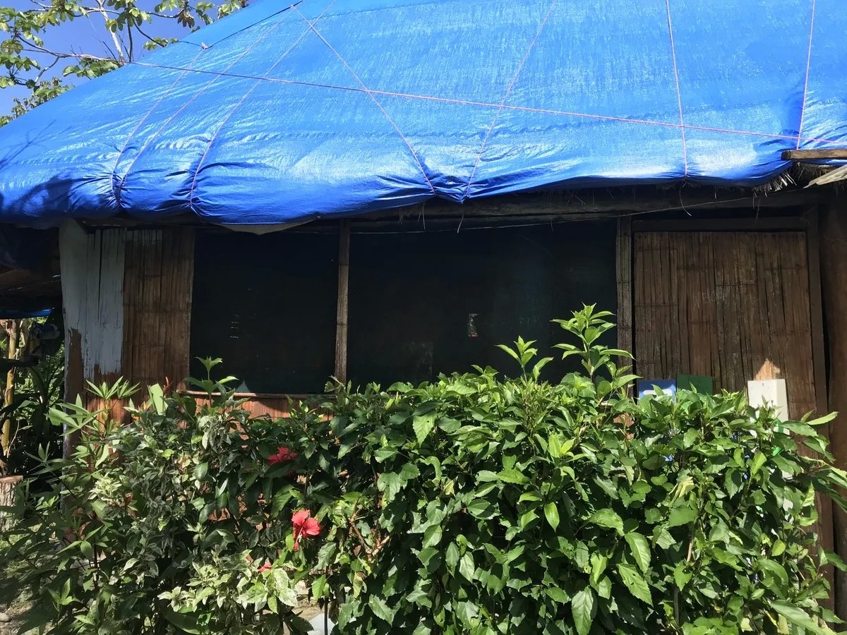 Hostal ecológico en Las Lajas con frondoso jardín de árboles frutales