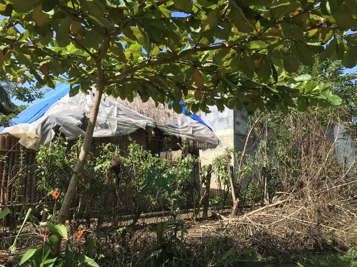 Ecological Hostal in Las Lajas with leafy fruit-tree garden
