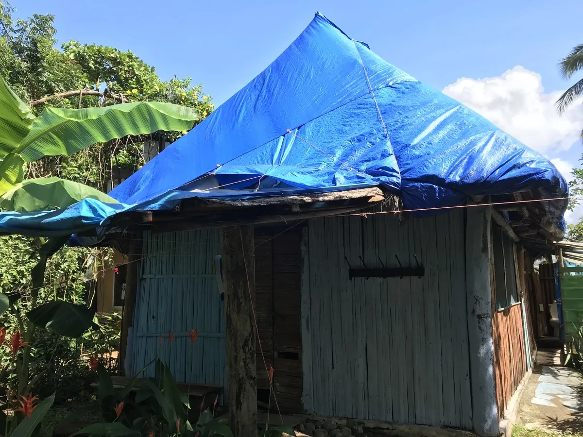 Hostal ecológico en Las Lajas con frondoso jardín de árboles frutales
