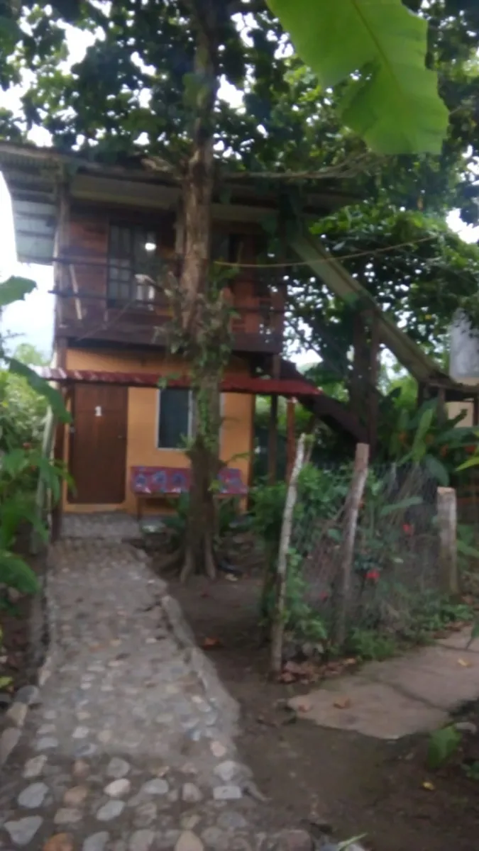 Hostal ecológico en Las Lajas con frondoso jardín de árboles frutales