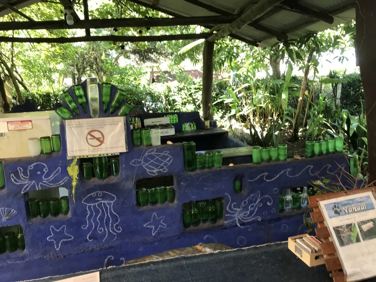 Hostal ecológico en Las Lajas con frondoso jardín de árboles frutales