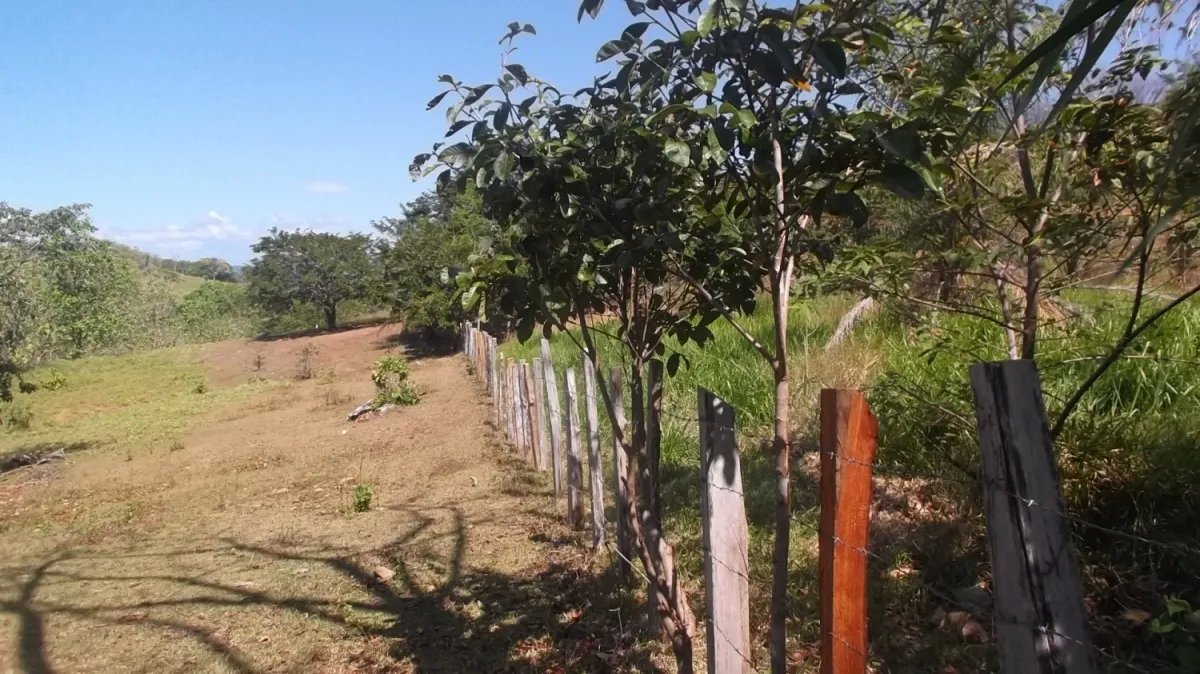 Titled lot for sale on Panamerican Highway in the San Lorenzo District