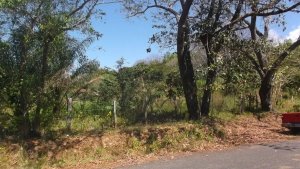 Titulado lote para la venta en la Carretera Panamericana, en el Distrito de San Lorenzo