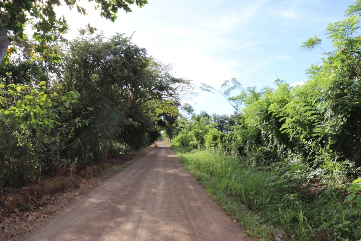 Land/Farm for Sale in Las Tablas