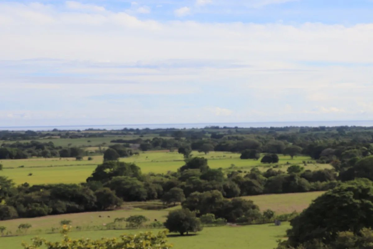 Land/Farm for Sale in Las Tablas