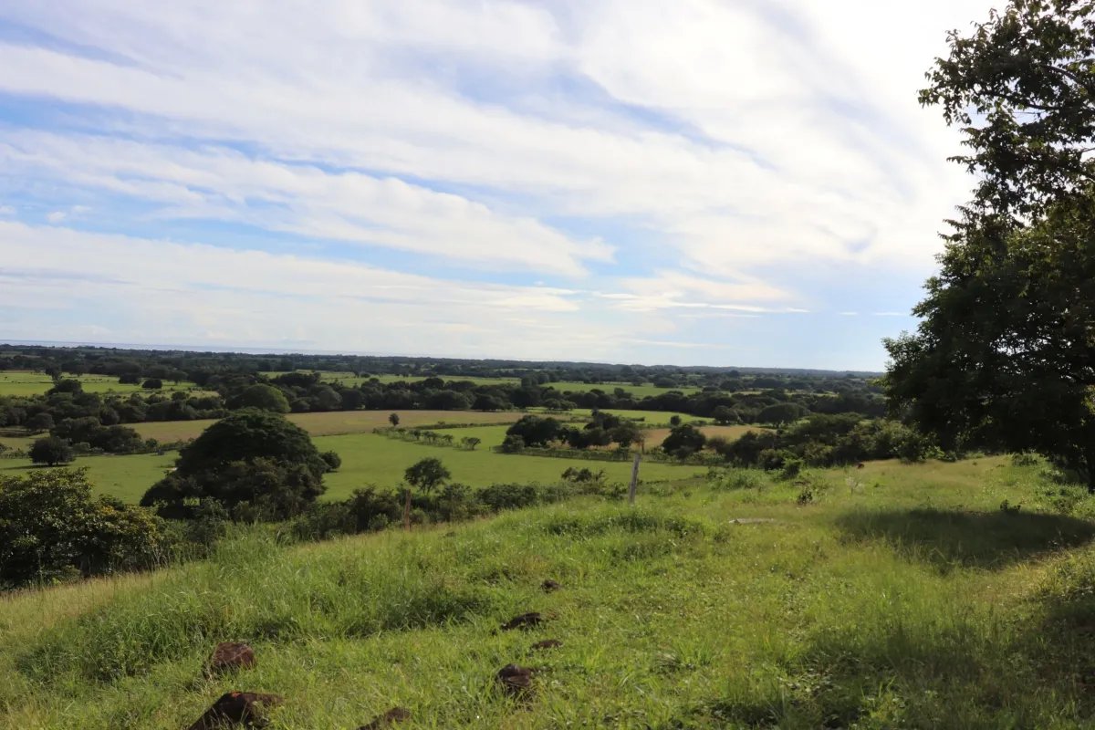 Land/Farm for Sale in Las Tablas