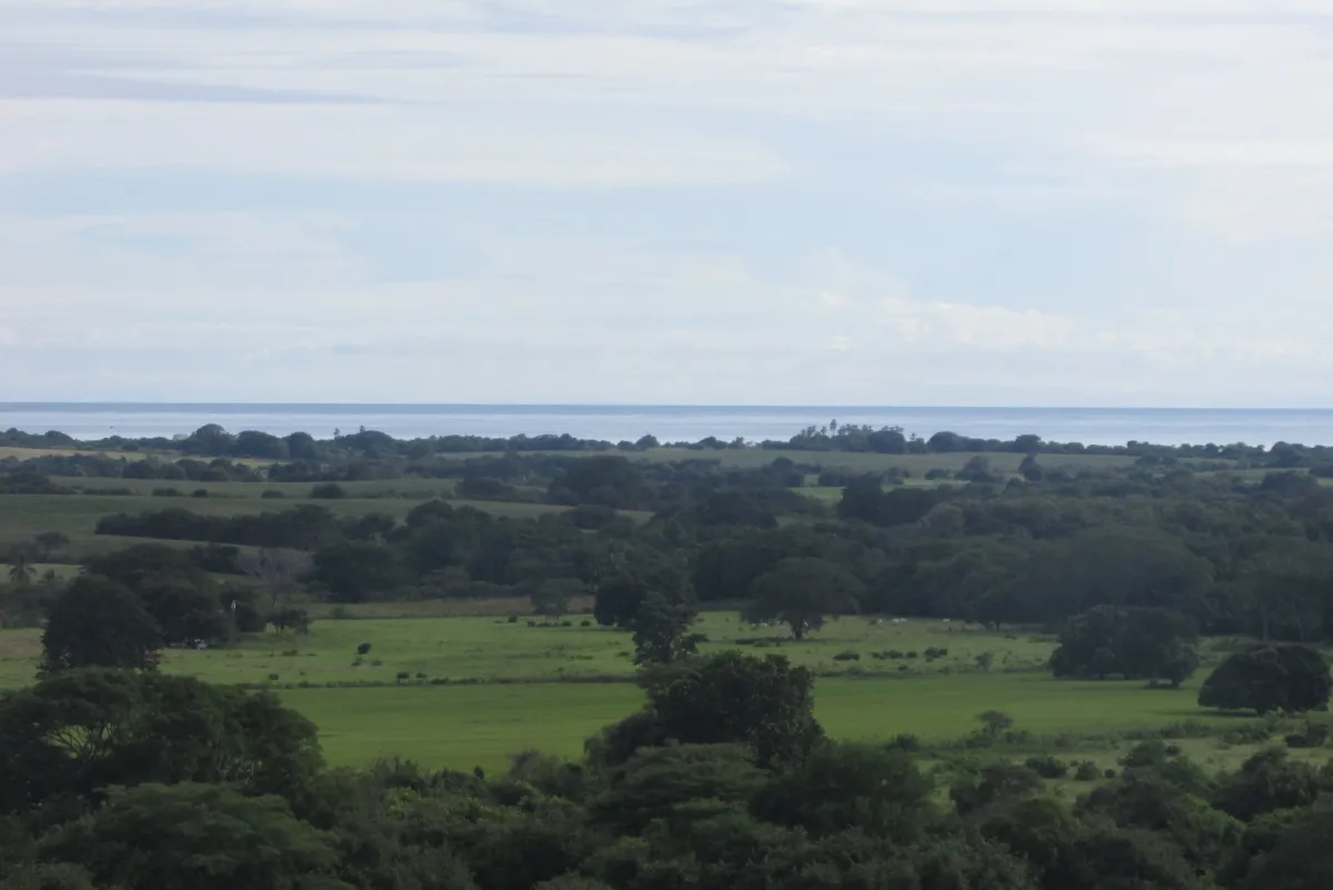 Terreno/Granja en Venta en Las Tablas